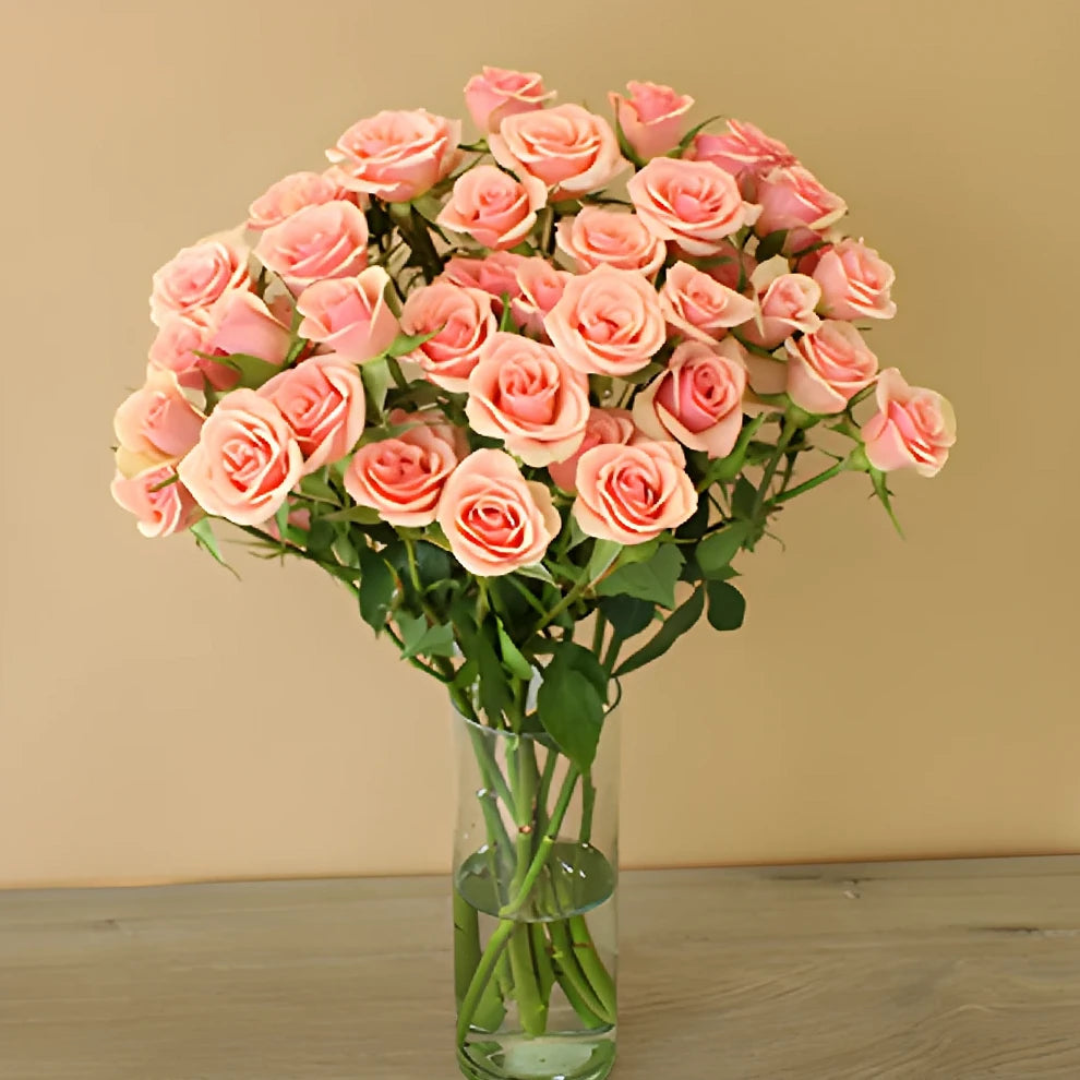Peach Ilse Roses Spray - alternative 1