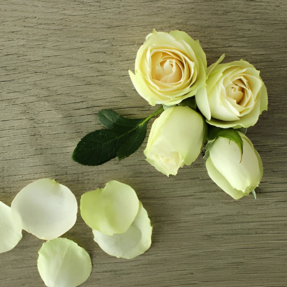 Irishka Roses Spray - Cream - alternative 1