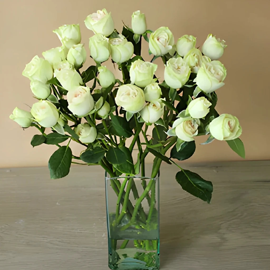 Irishka Roses Spray - Cream - main