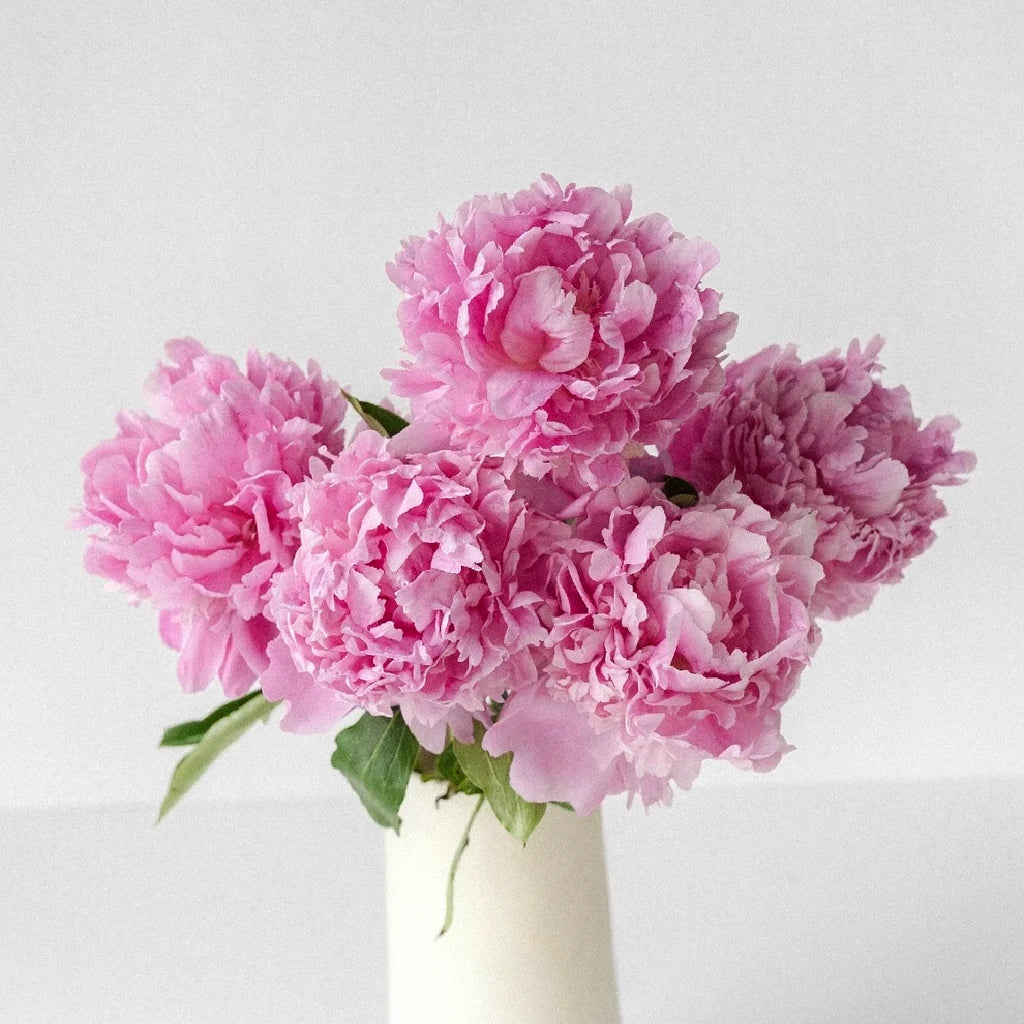Jules Elie Peonies - alternative 1