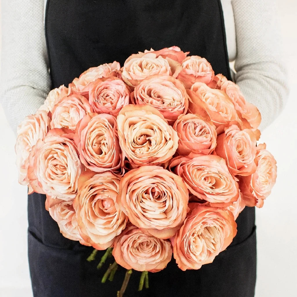 Kahala Roses Standard - alternative 3