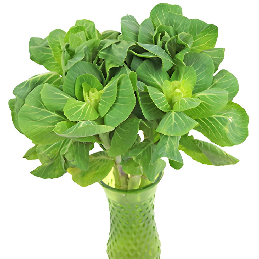 Green Kale - alternative 1
