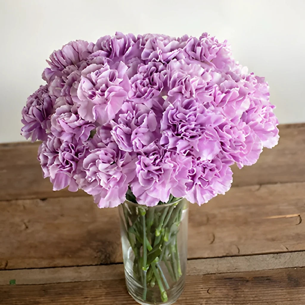 Moonaqua Carnations - alternative 2