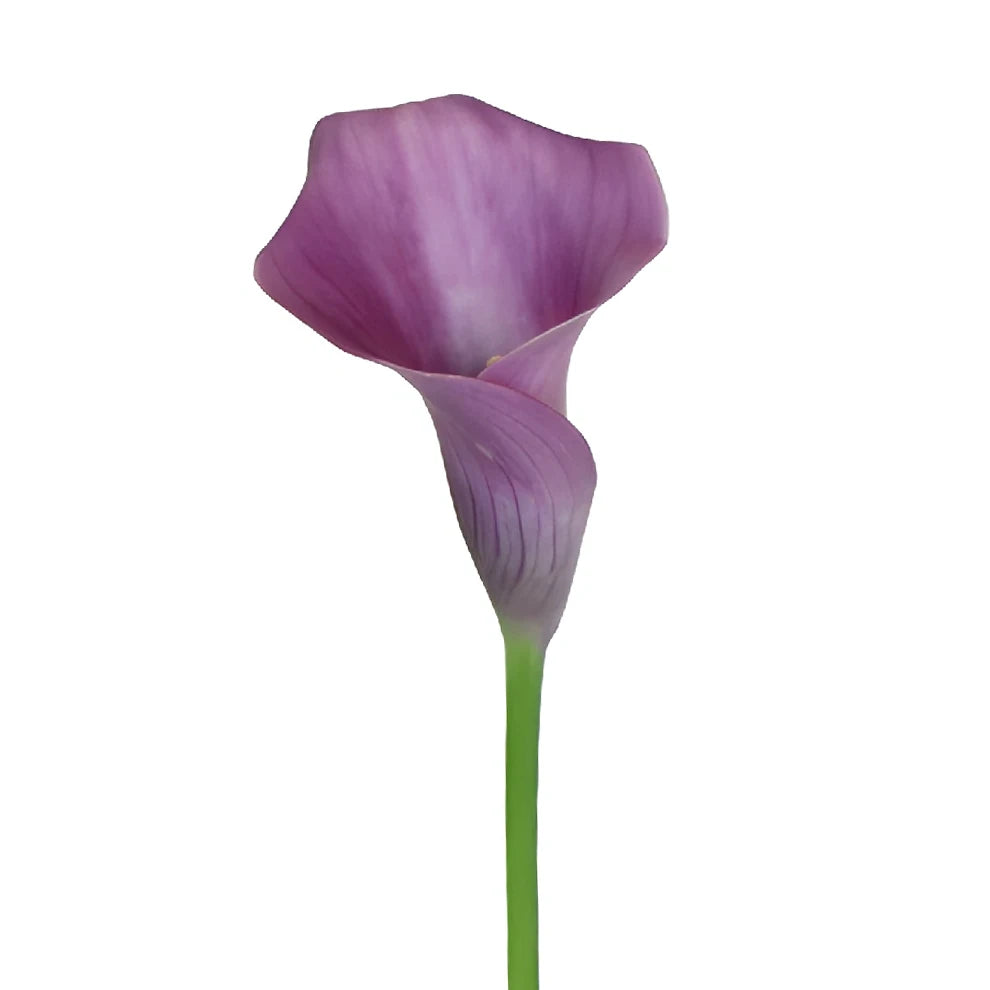 Ruby Lite Calla Lily Mini - alternative 1