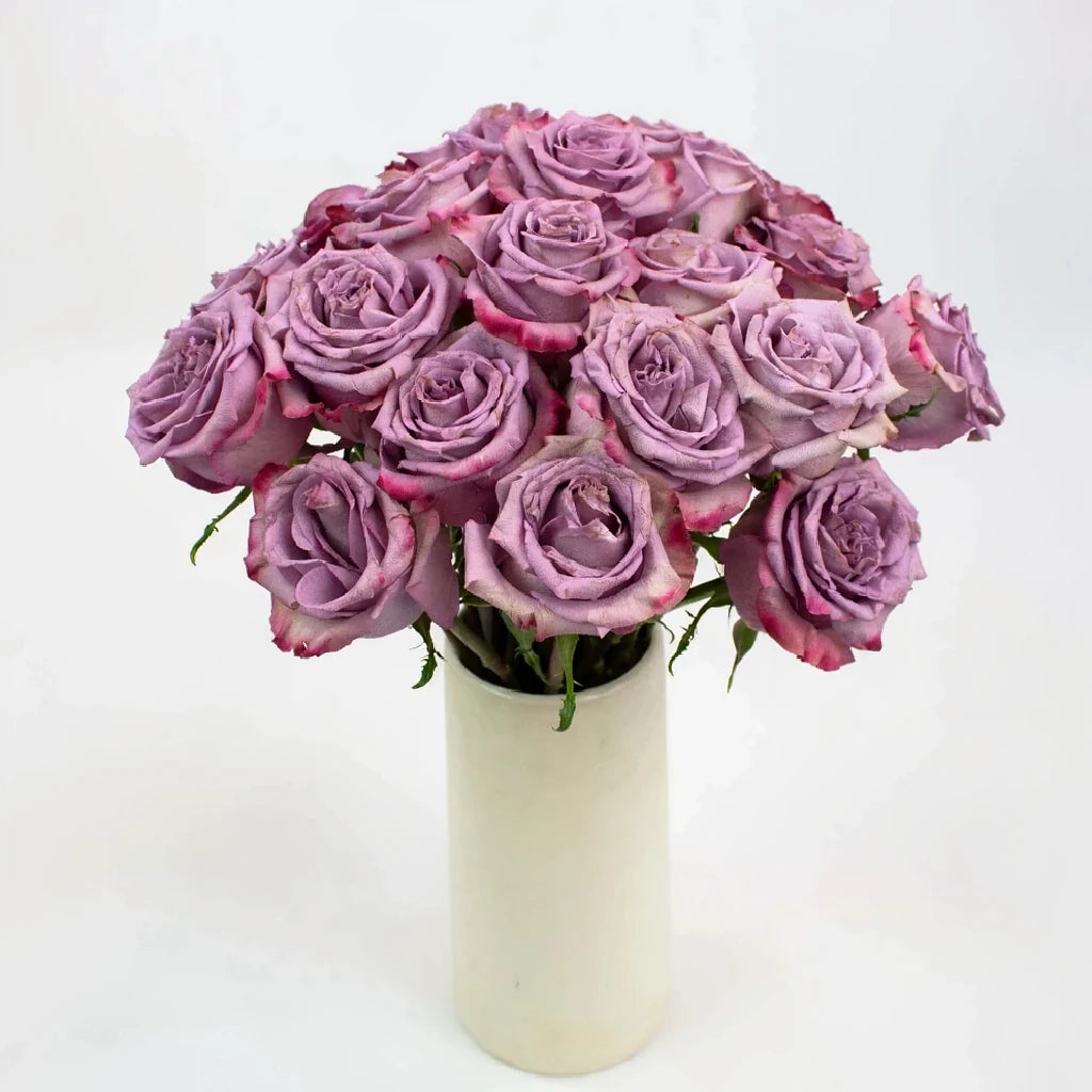 Govinda Roses Standard - alternative 1
