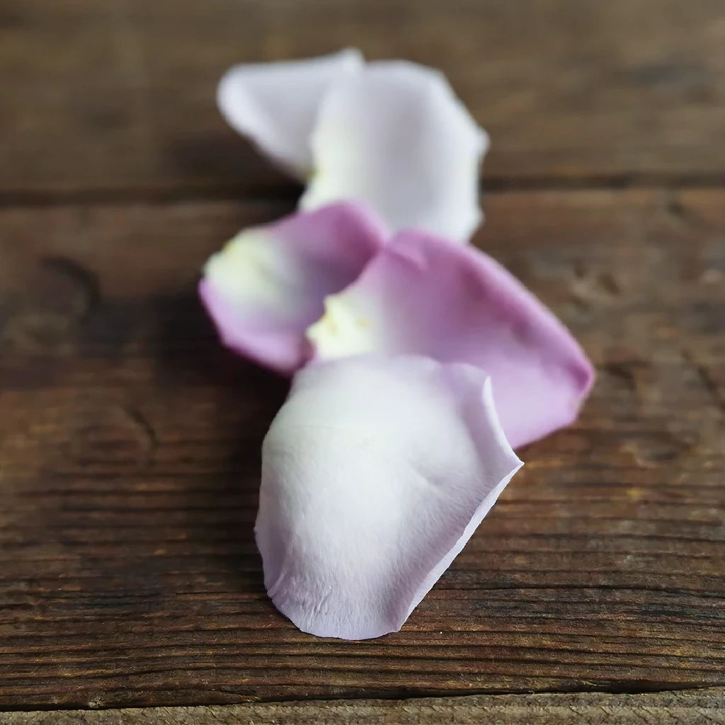 Lavender Rose Petals - alternative 1