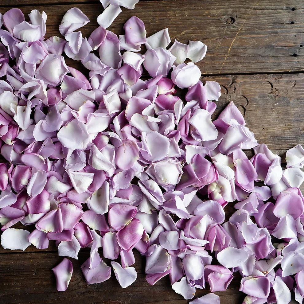 Lavender Rose Petals - alternative 4
