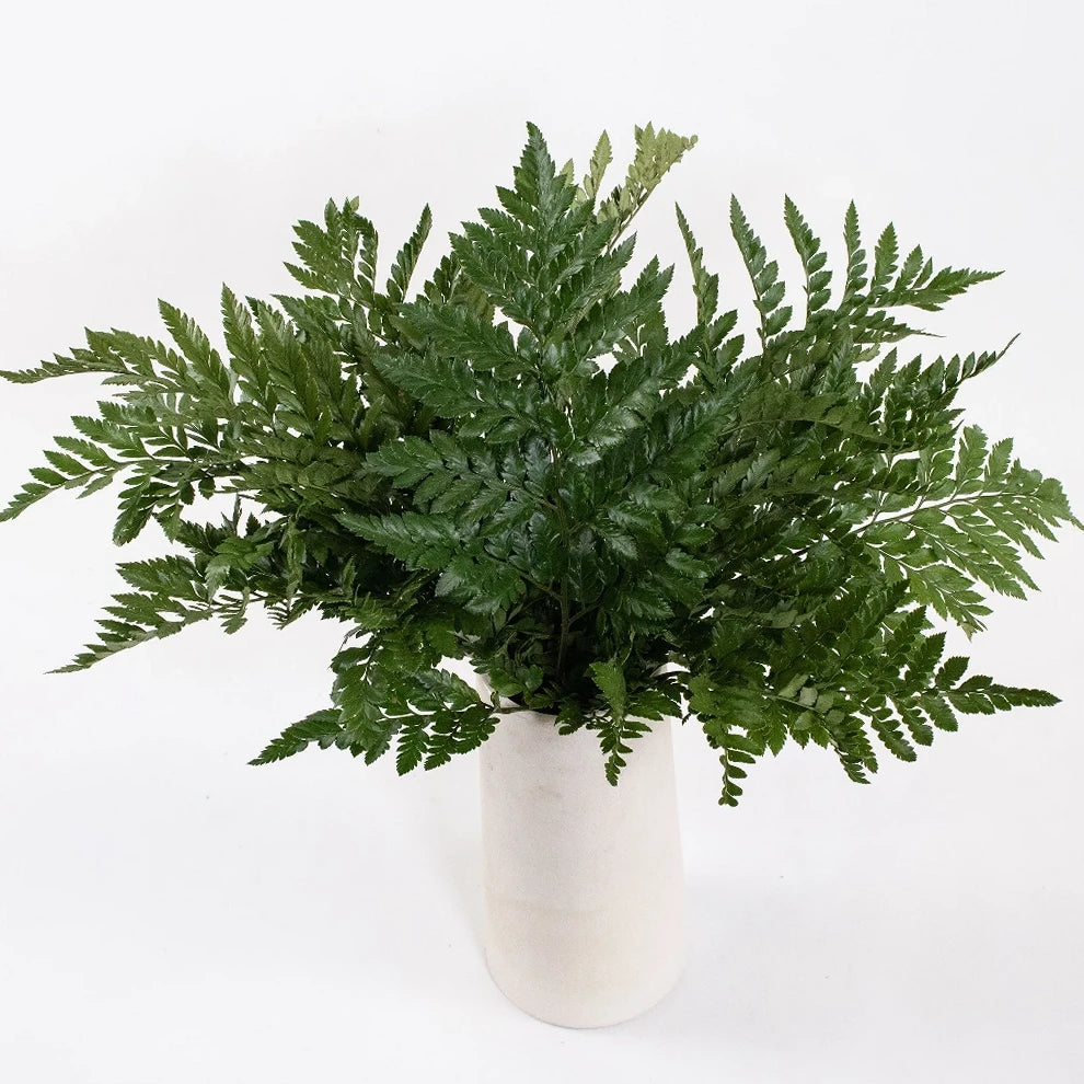 Green Leather Leaf Greenery - alternative 2