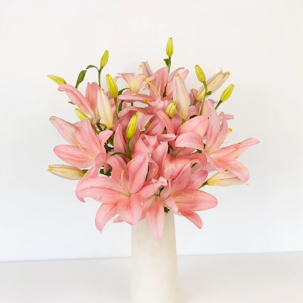 Renoir Lilies Asiatic - main