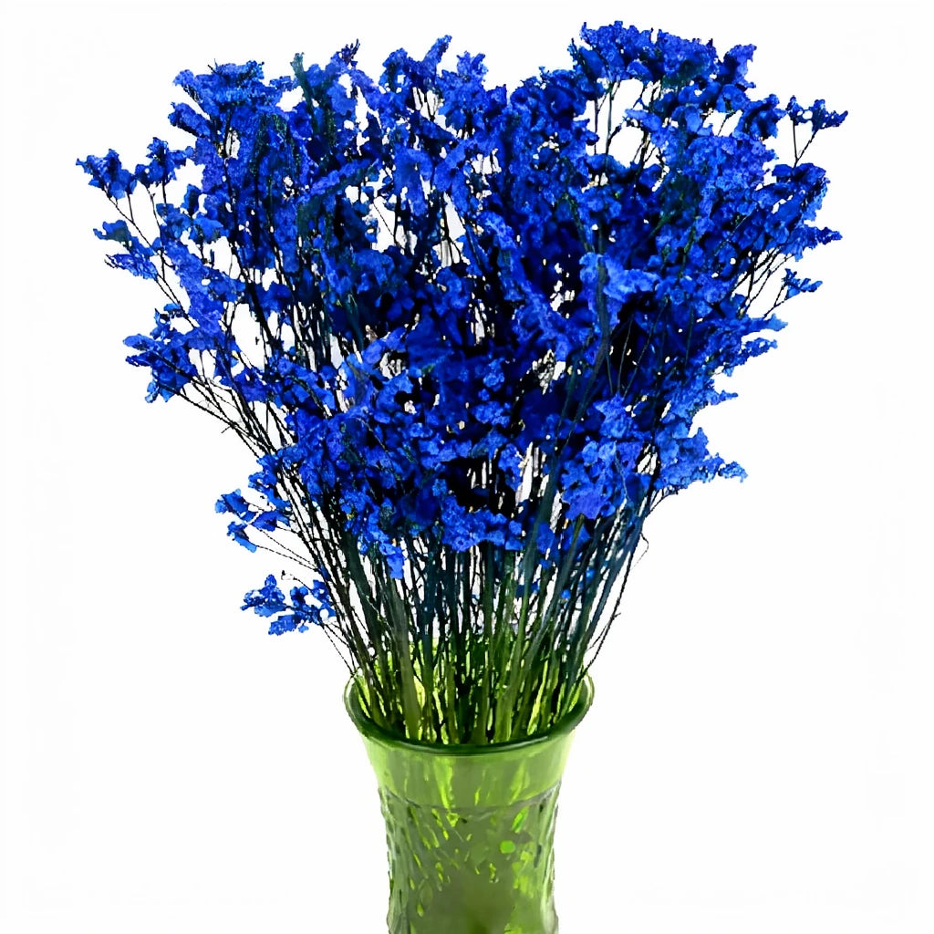 Tinted Limonium - Blue - alternative 1