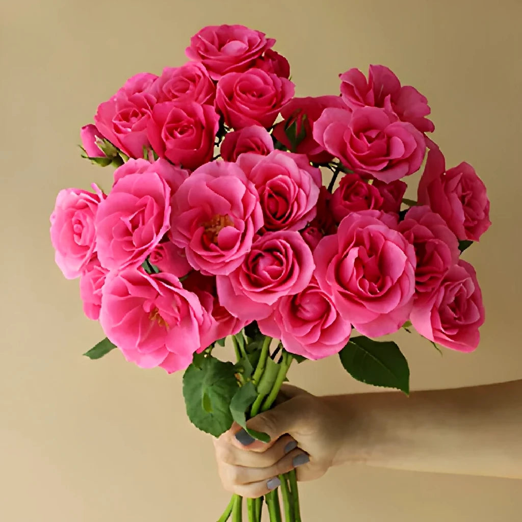 Hot Pink Folies Roses Spray - alternative 3