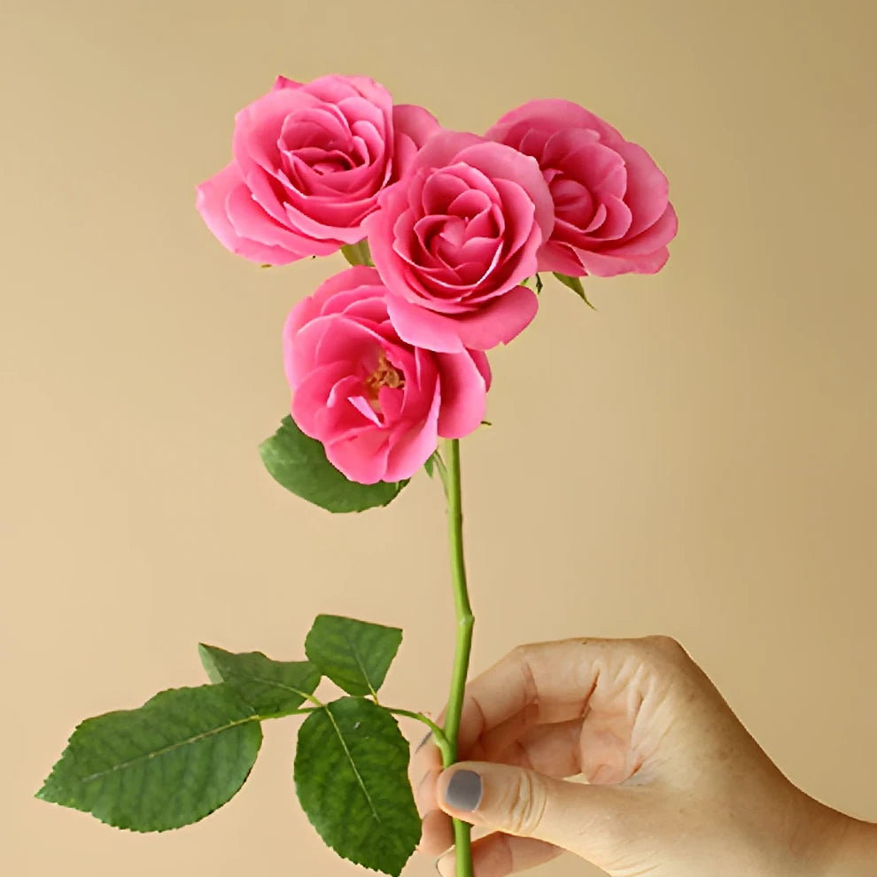 Hot Pink Folies Roses Spray - main