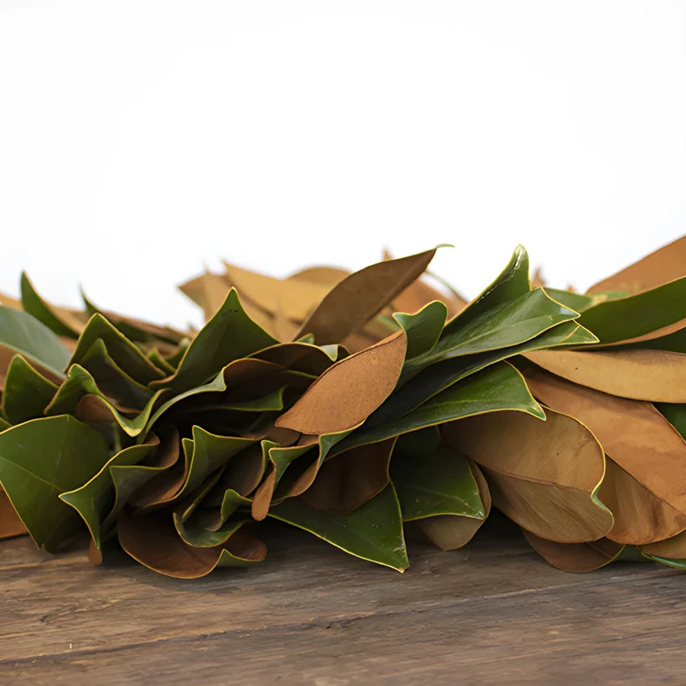 Wreath Magnolia Greenery - main