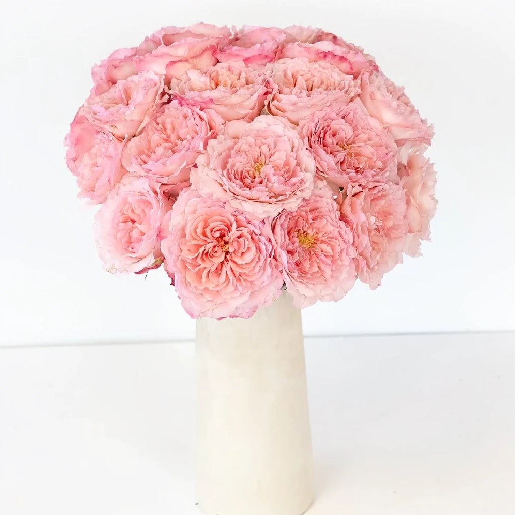 Mayra's Pink Roses Garden - main