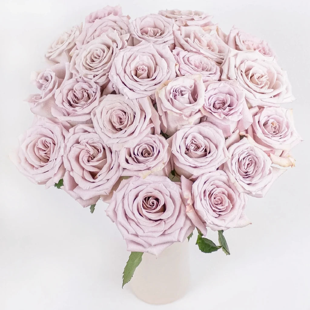 Menta Roses Standard - alternative 3