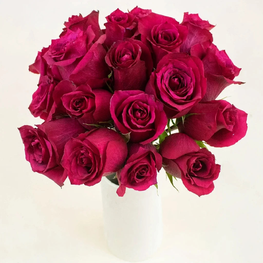 Merlot Roses Standard - alternative 1