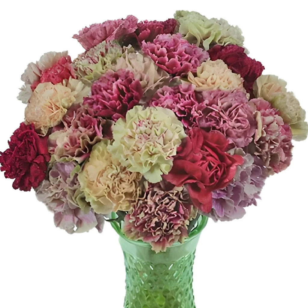 Homer Carnations - main