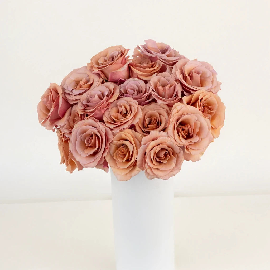 Moab Roses Standard - alternative 2