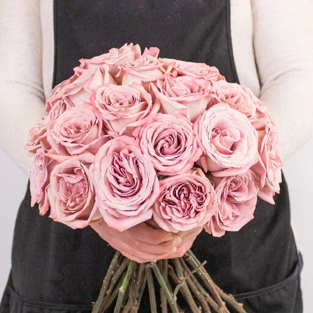 Cappuccino Roses Standard - alternative 1