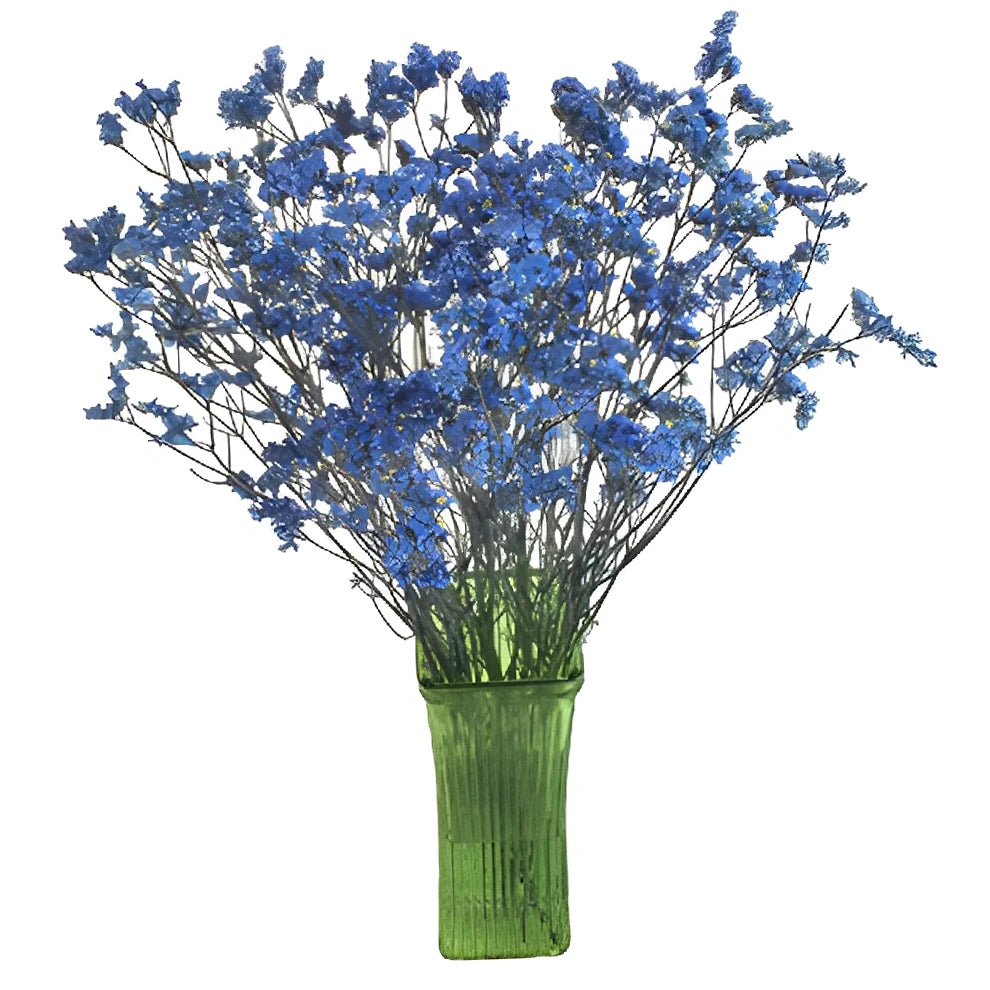Tinted Limonium - Turquoise - alternative 2