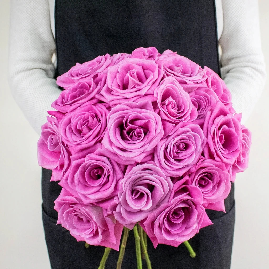 New Aqua Roses Standard - alternative 2