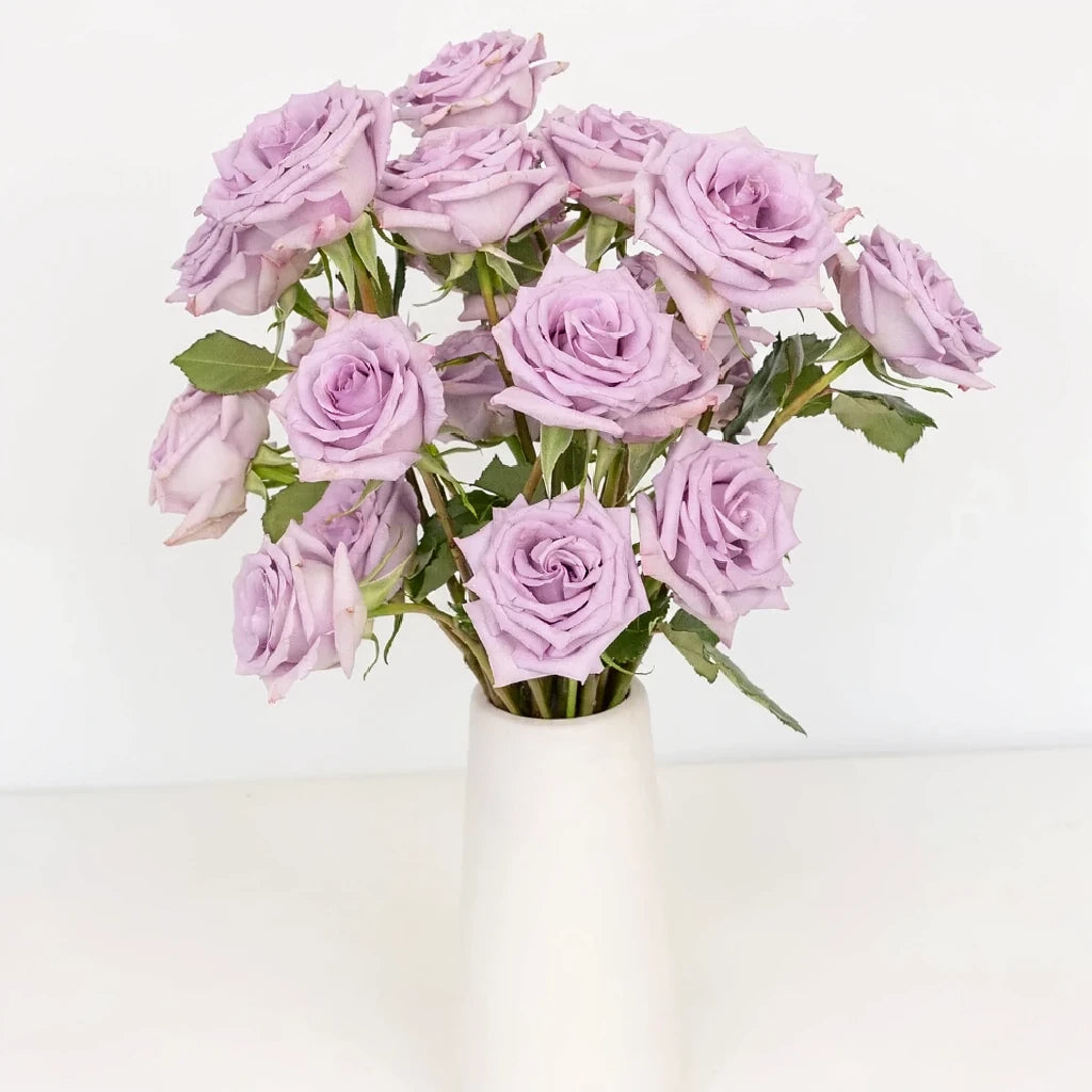 Ocean Song Roses Standard - main