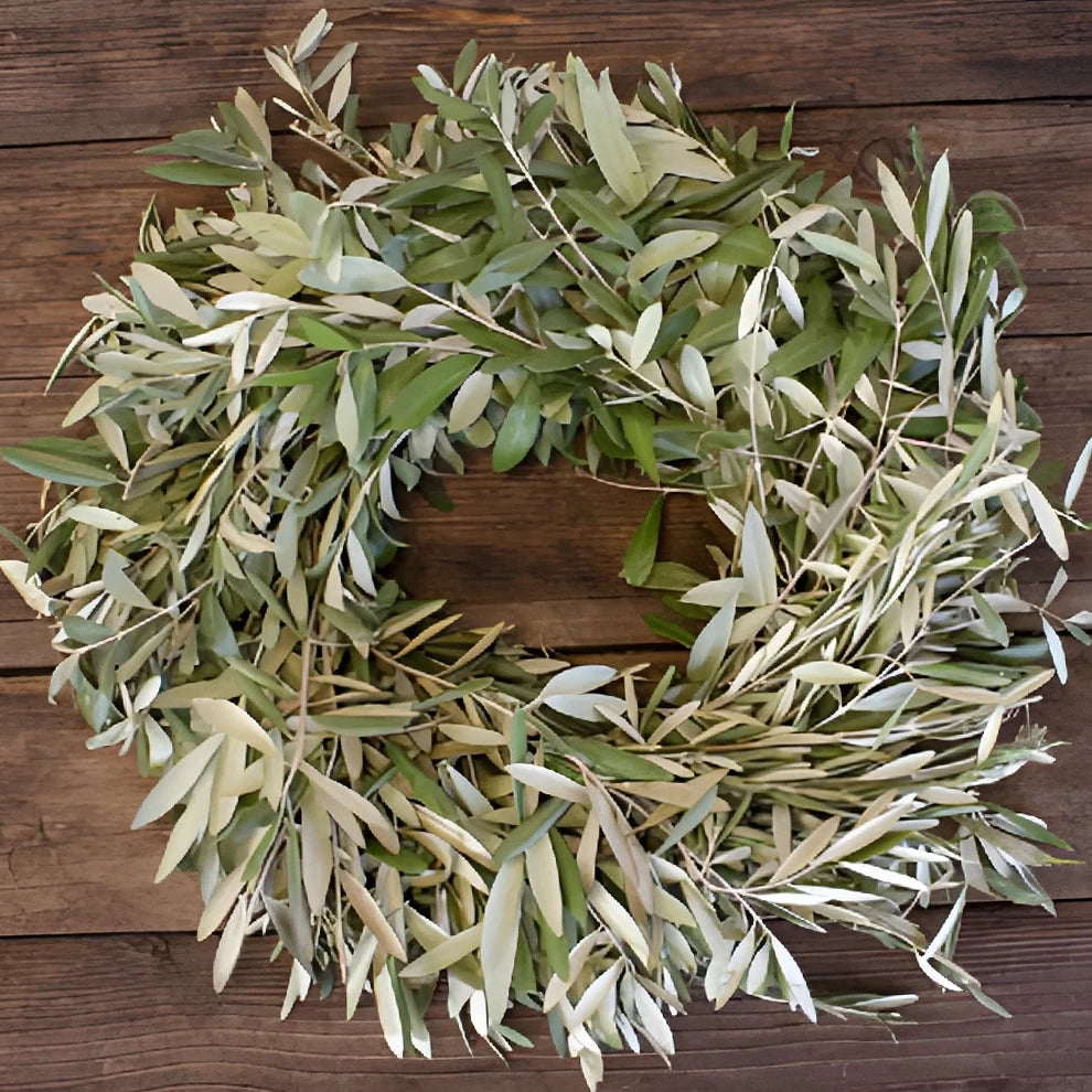 Wreath Olive Greenery - alternative 1