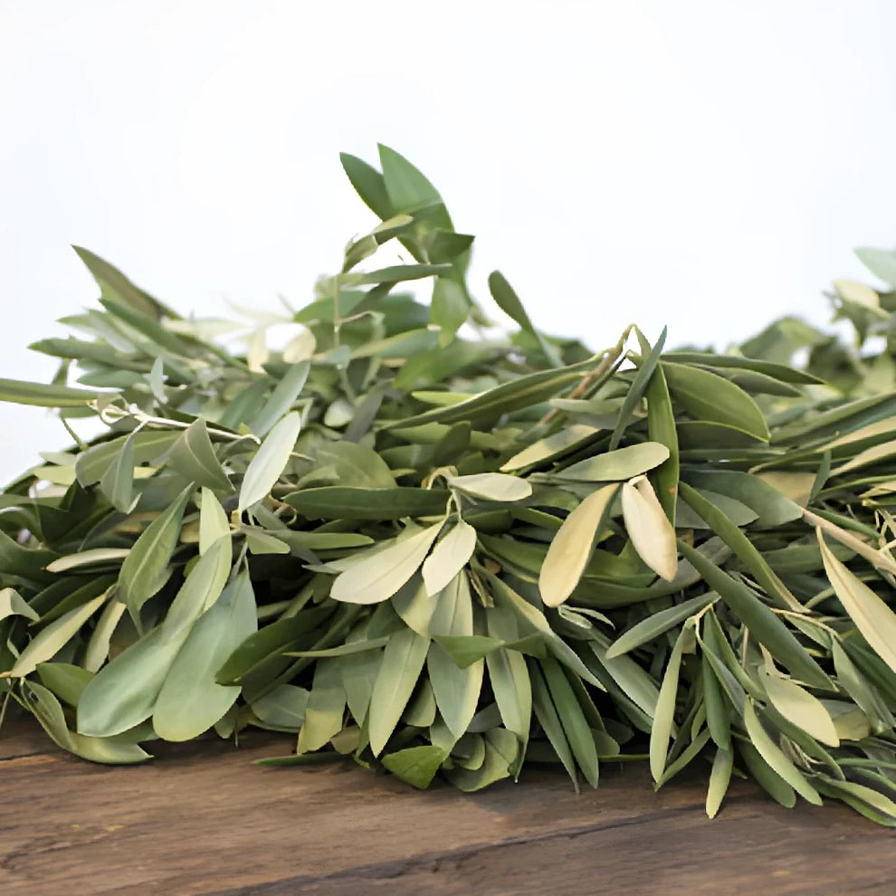 Wreath Olive Greenery - alternative 2