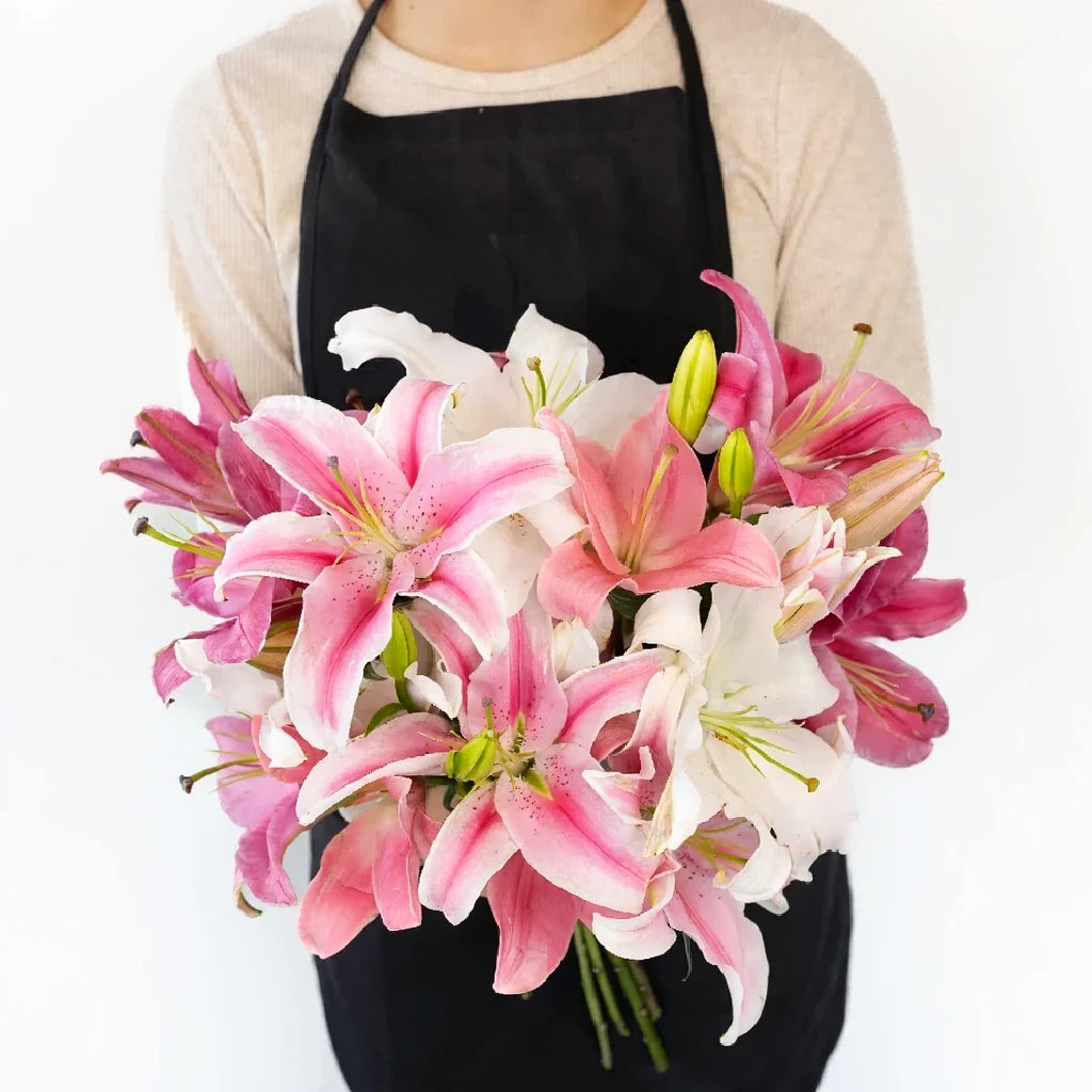 Pink Light Lilies Oriental - main
