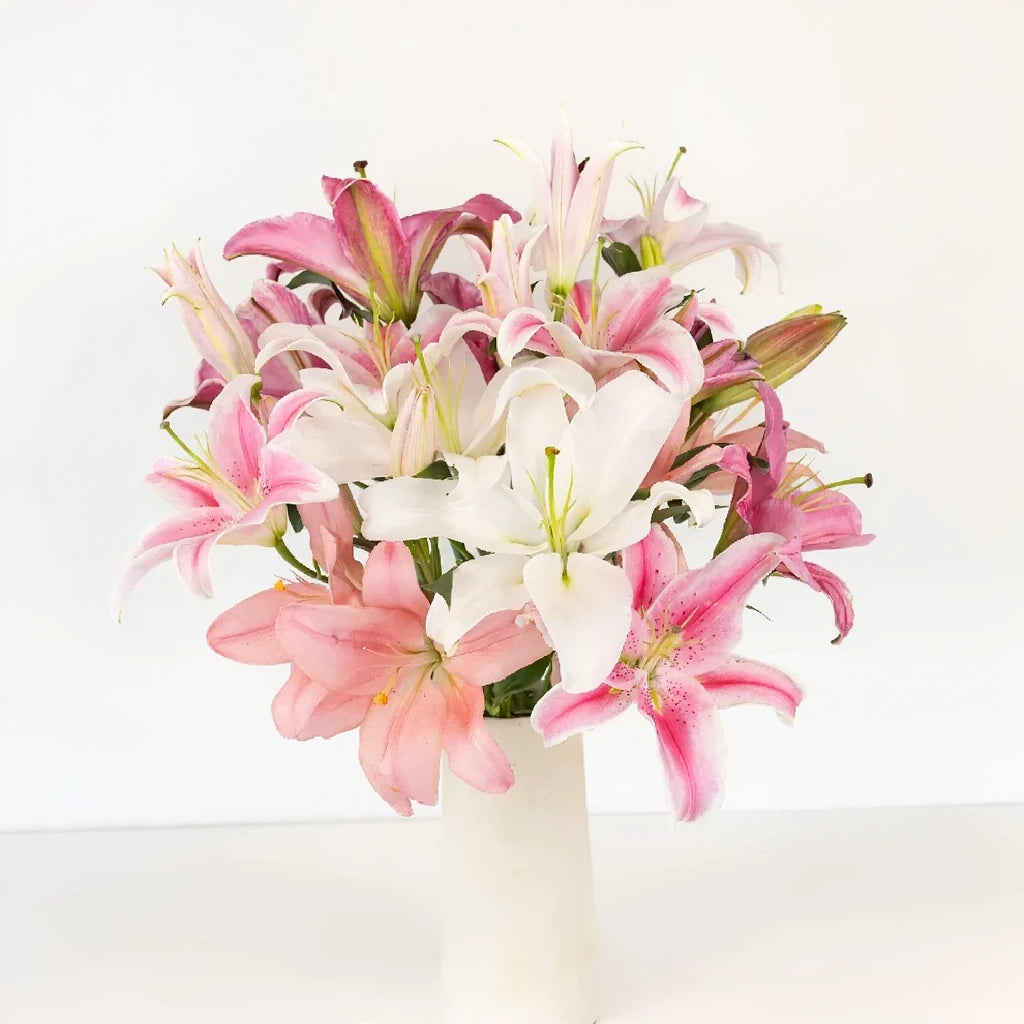 Riant Lilies Oriental - alternative 2