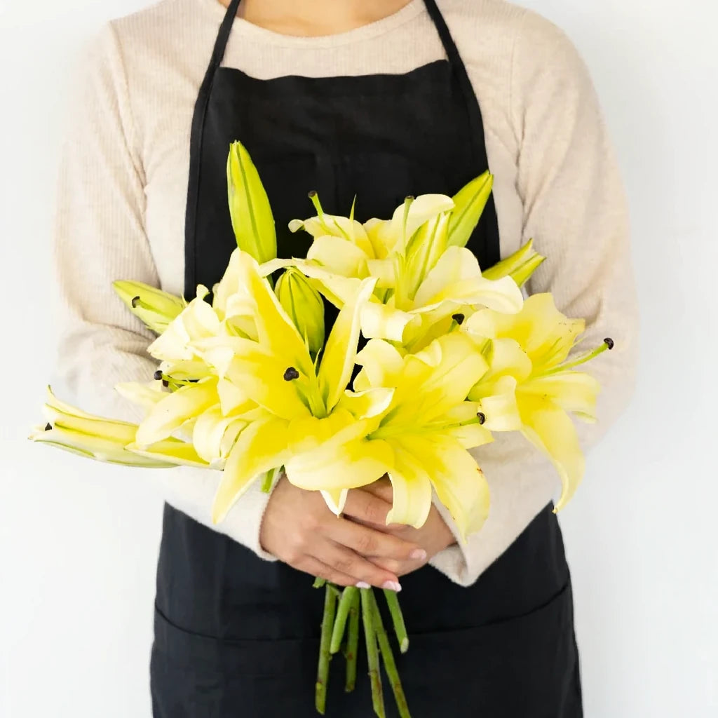 Concador Lilies Oriental - main