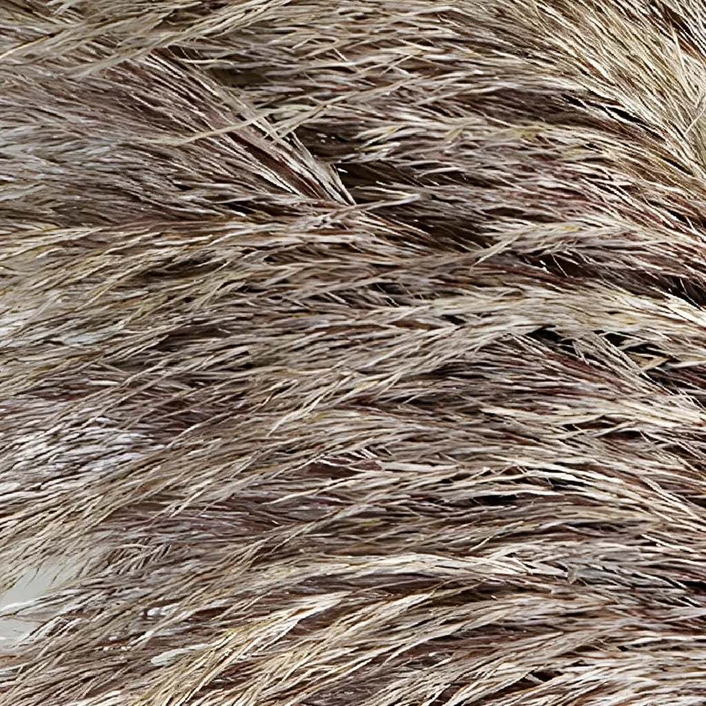 Pampas Grass Greenery - main