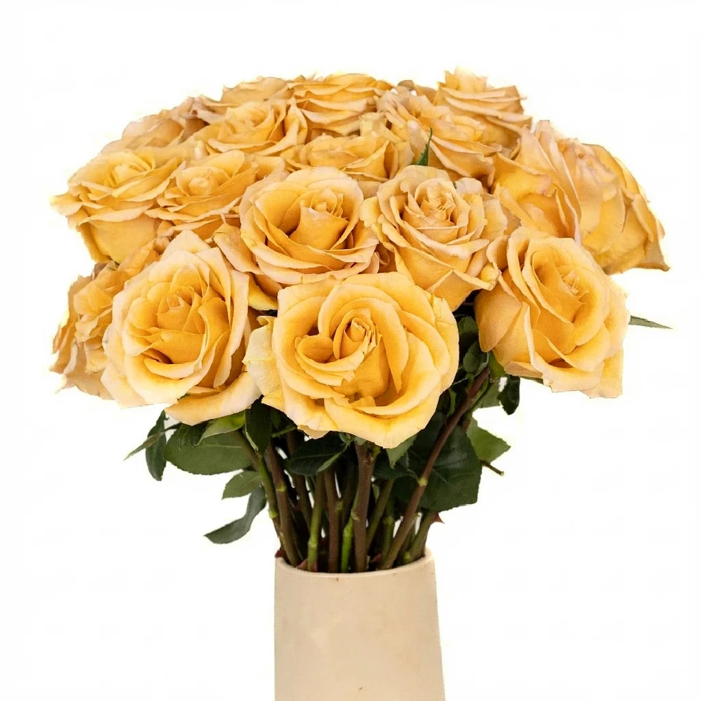 Combo Roses Standard - alternative 1