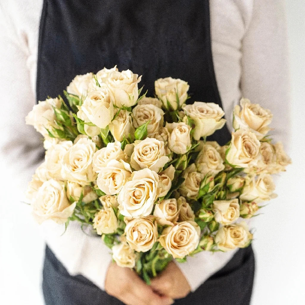 Brilliant Star Capricorn Roses Spray - alternative 1