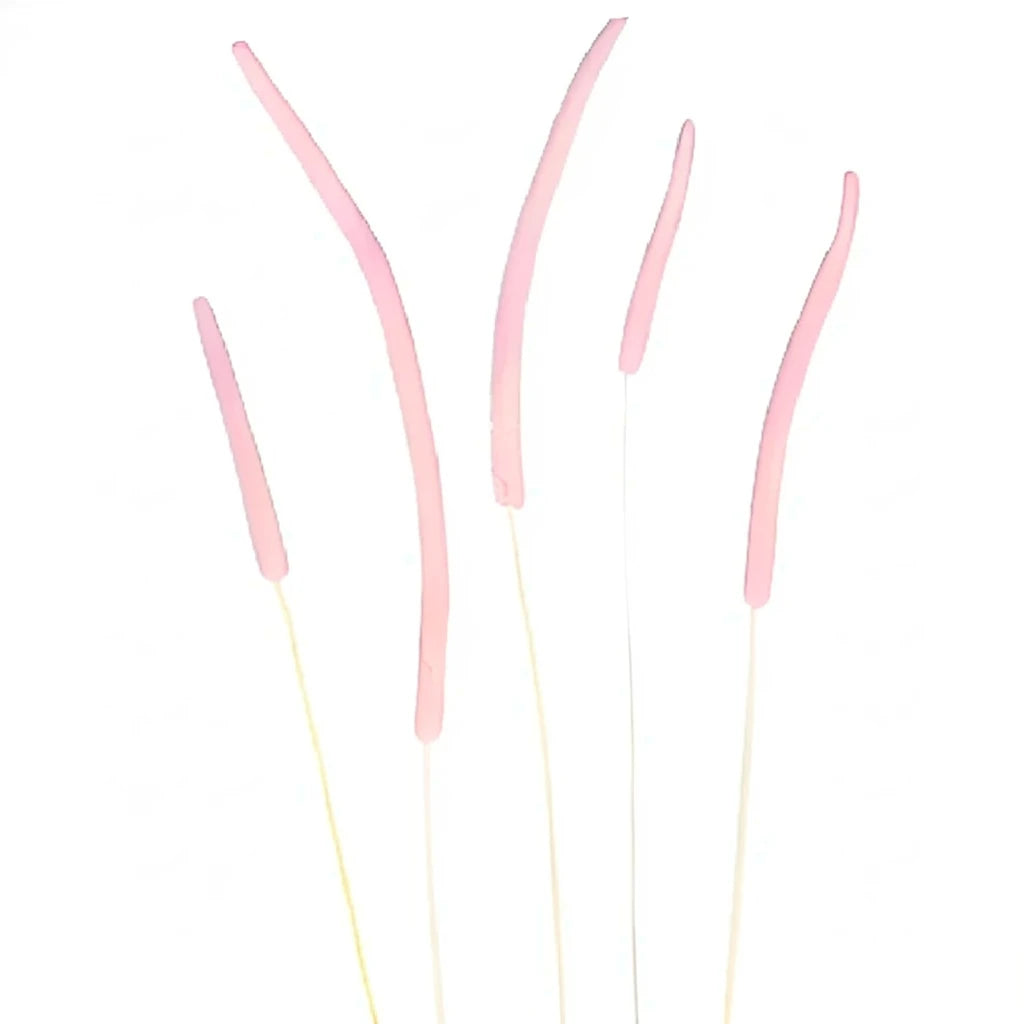 Phleum Dried - main