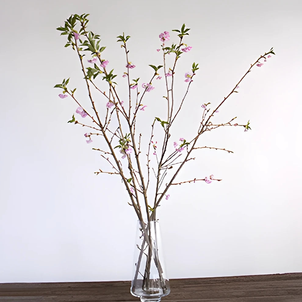 Pink Almond Branches - alternative 2