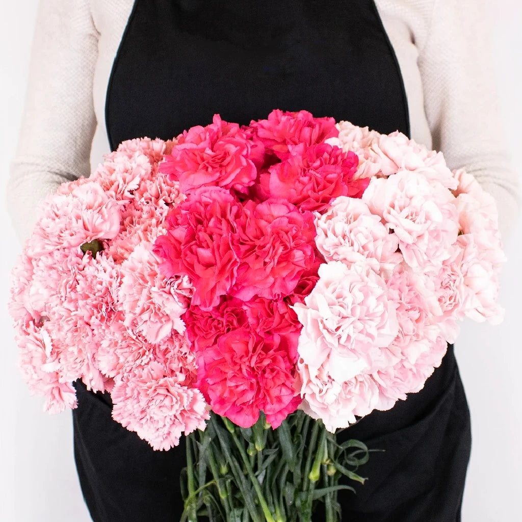 Damina Carnations - alternative 3