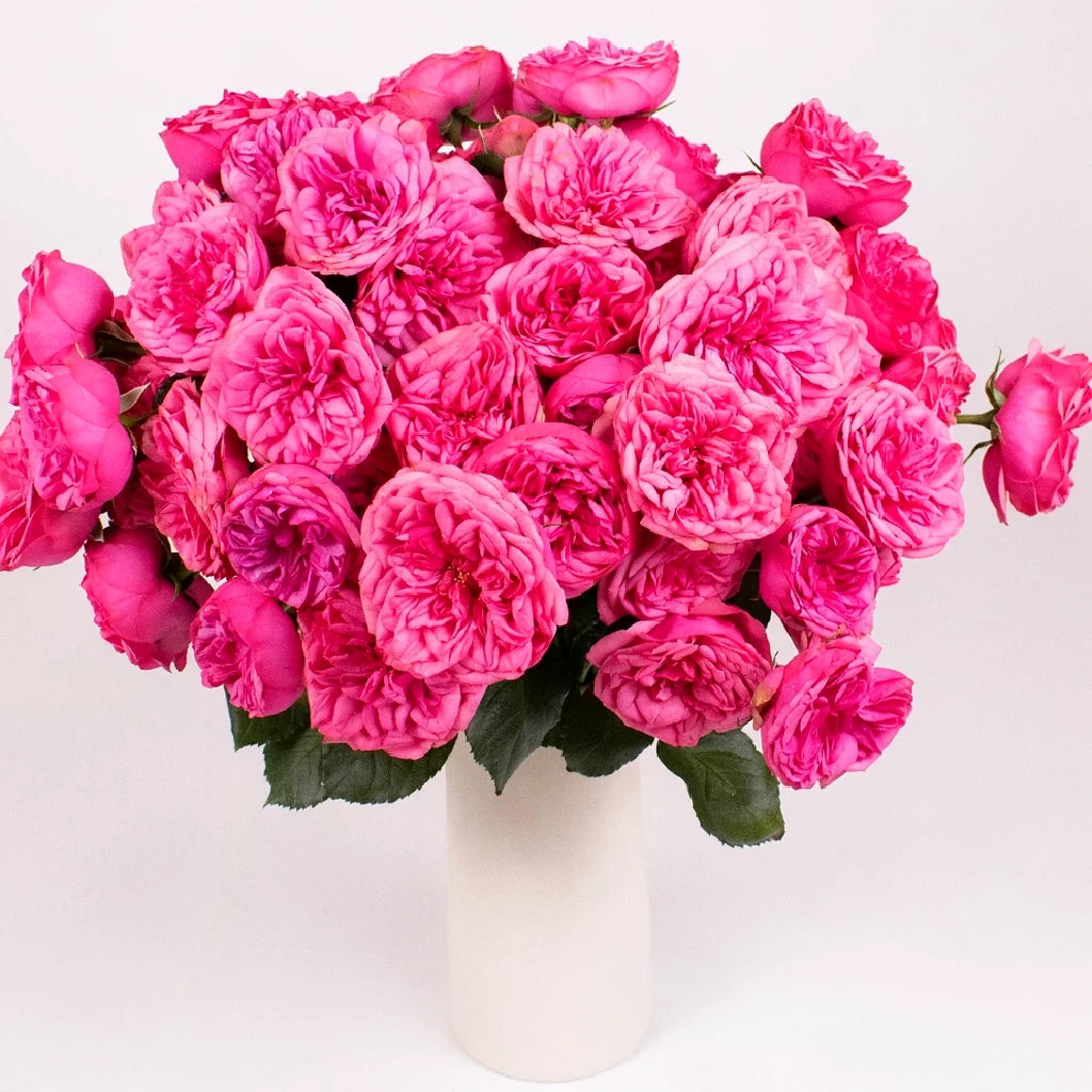 Pink Piano Roses Garden Spray - main