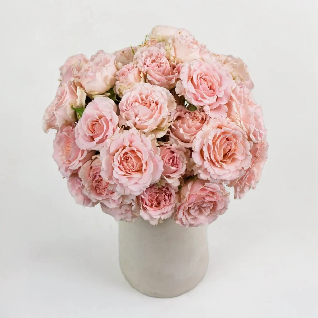 Wedding Rosever Roses Garden - alternative 1