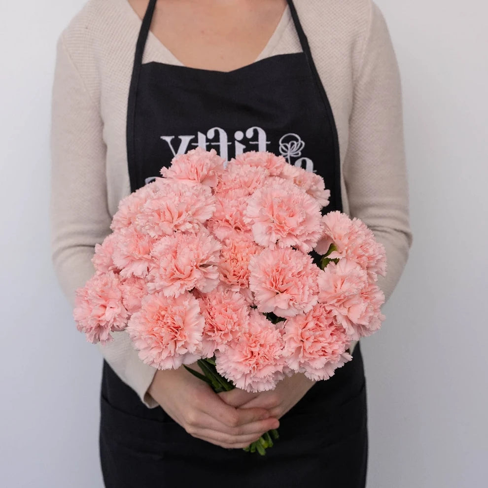 Betsy Carnations - alternative 1
