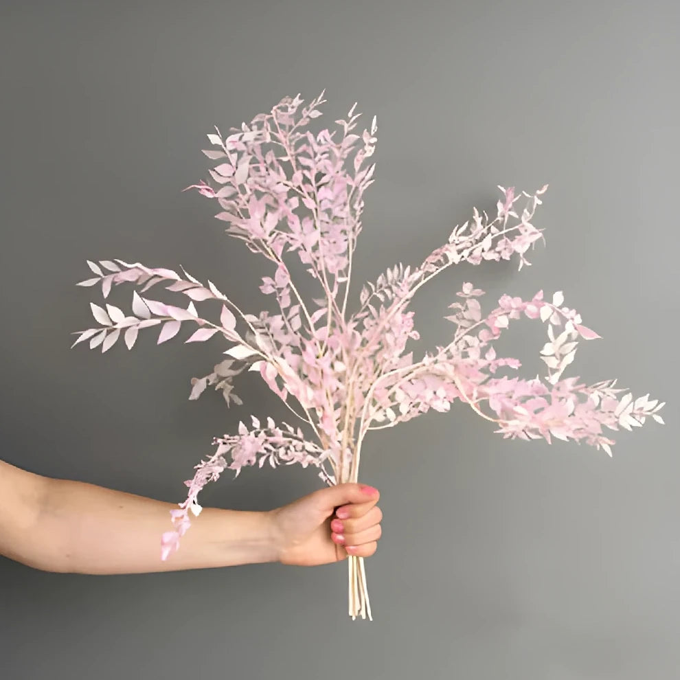 Light Pink Bleached Dried Italian Ruscus - Light Pink - main