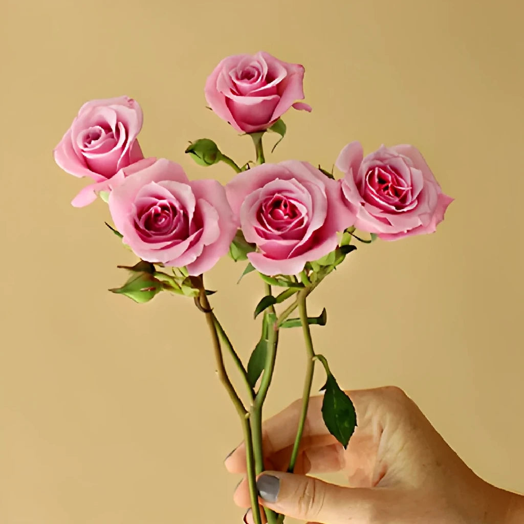 Blue Moon Roses Spray - main