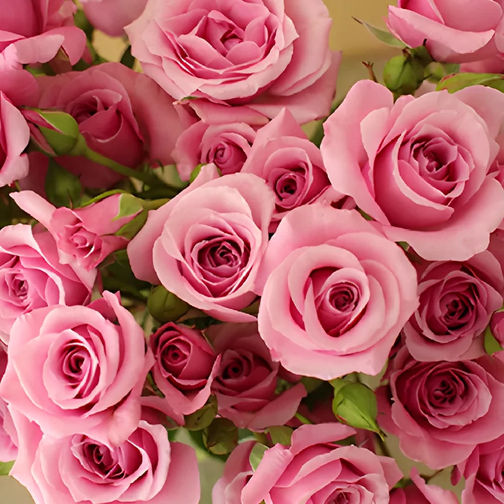 Blue Moon Roses Spray - alternative 1
