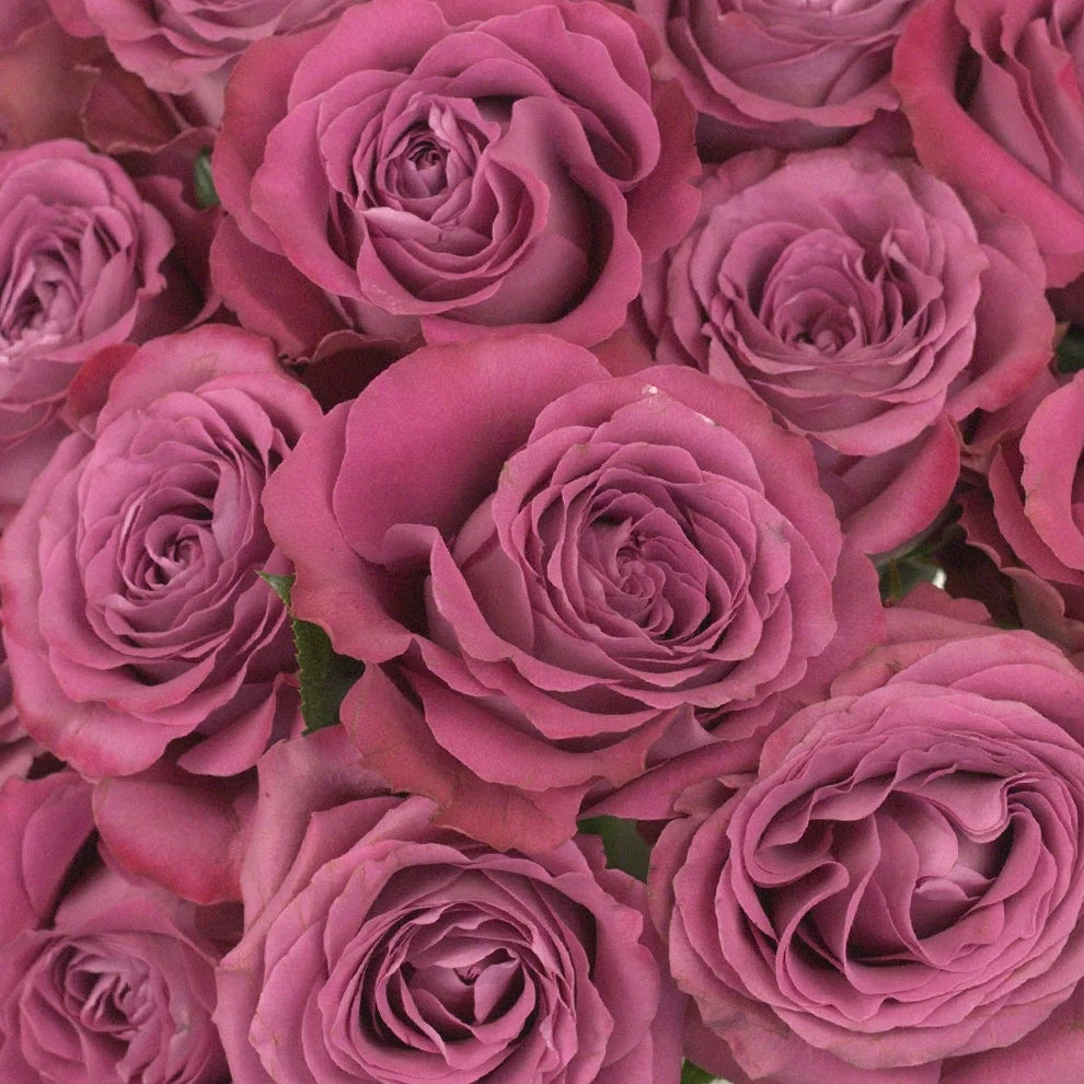 Precious Moments Roses Garden - alternative 2