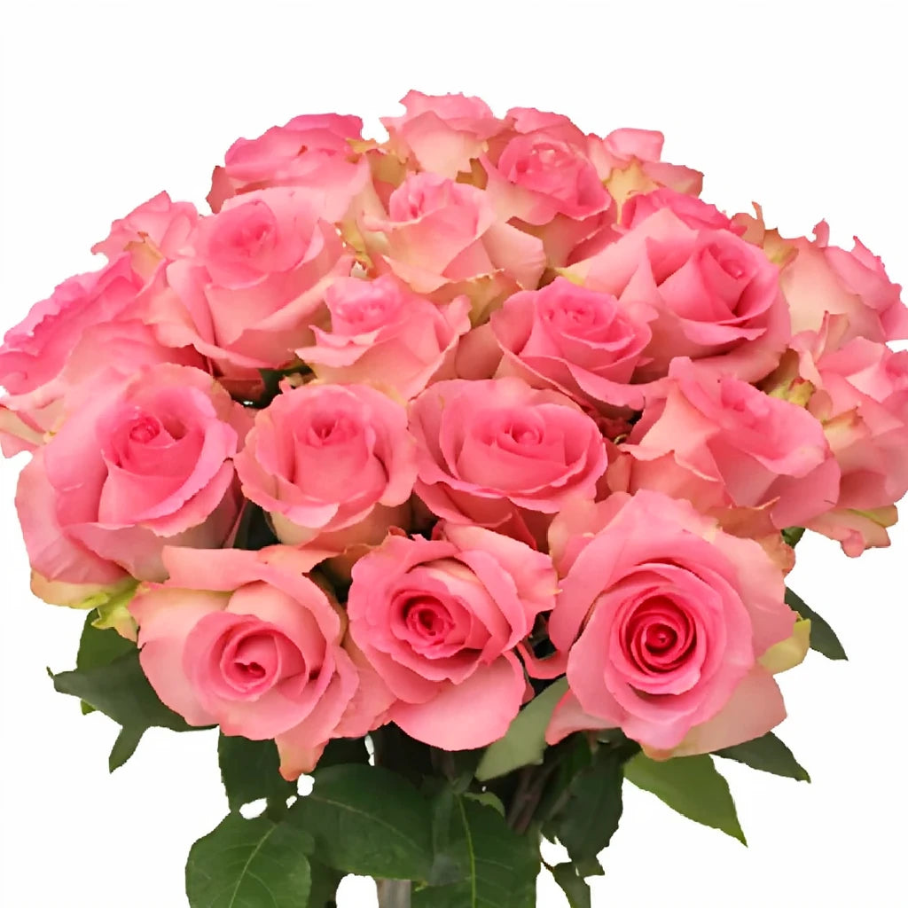 Priceless Roses Standard - alternative 1
