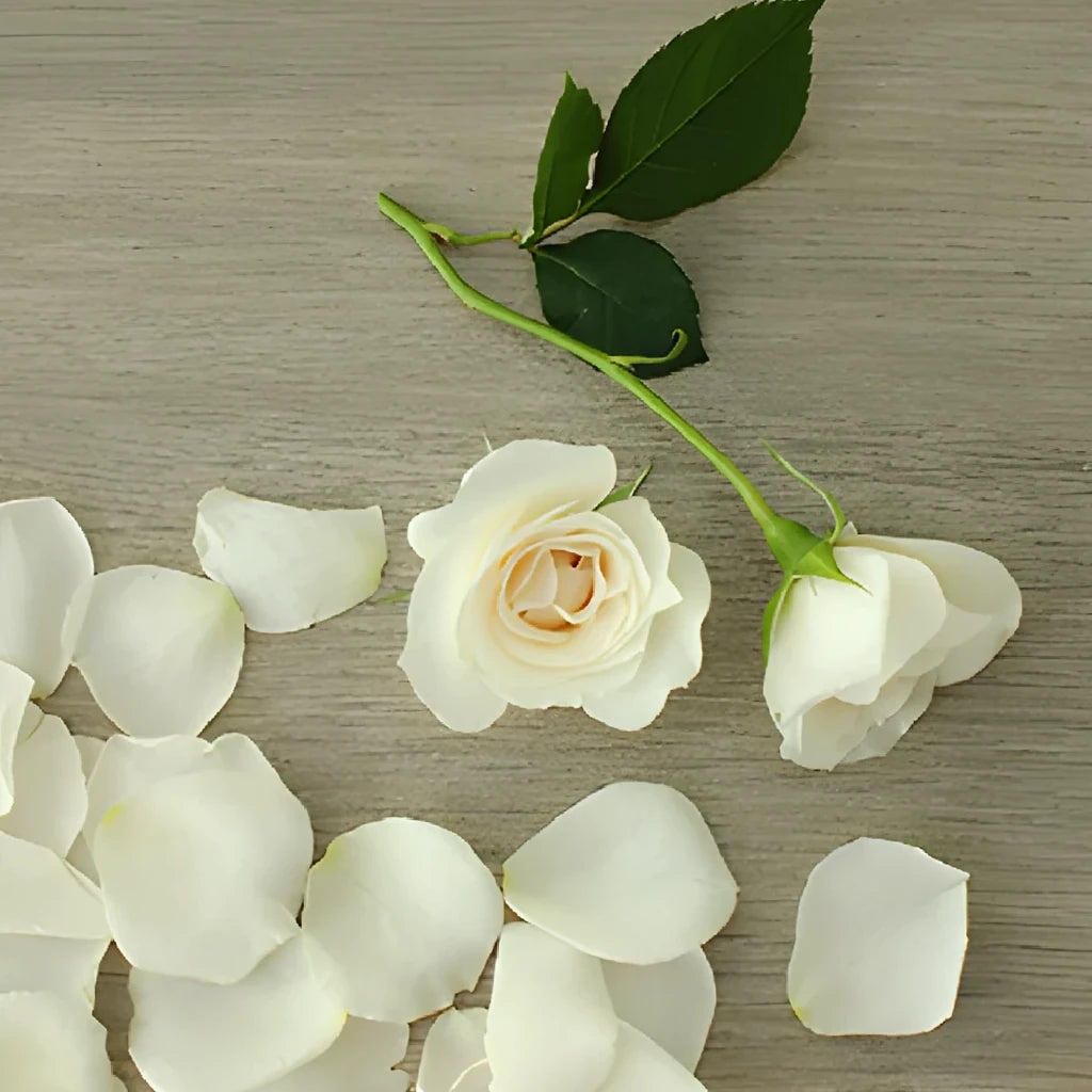 Princess Roses Spray - alternative 1