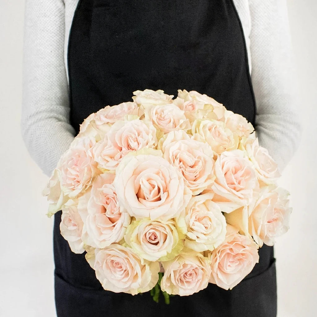 Priority Roses Standard - main