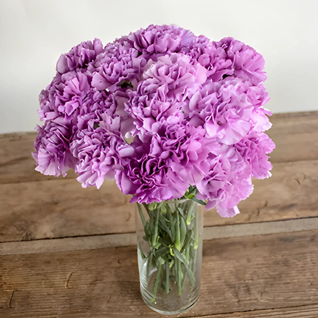 Moonlite Carnations - alternative 4