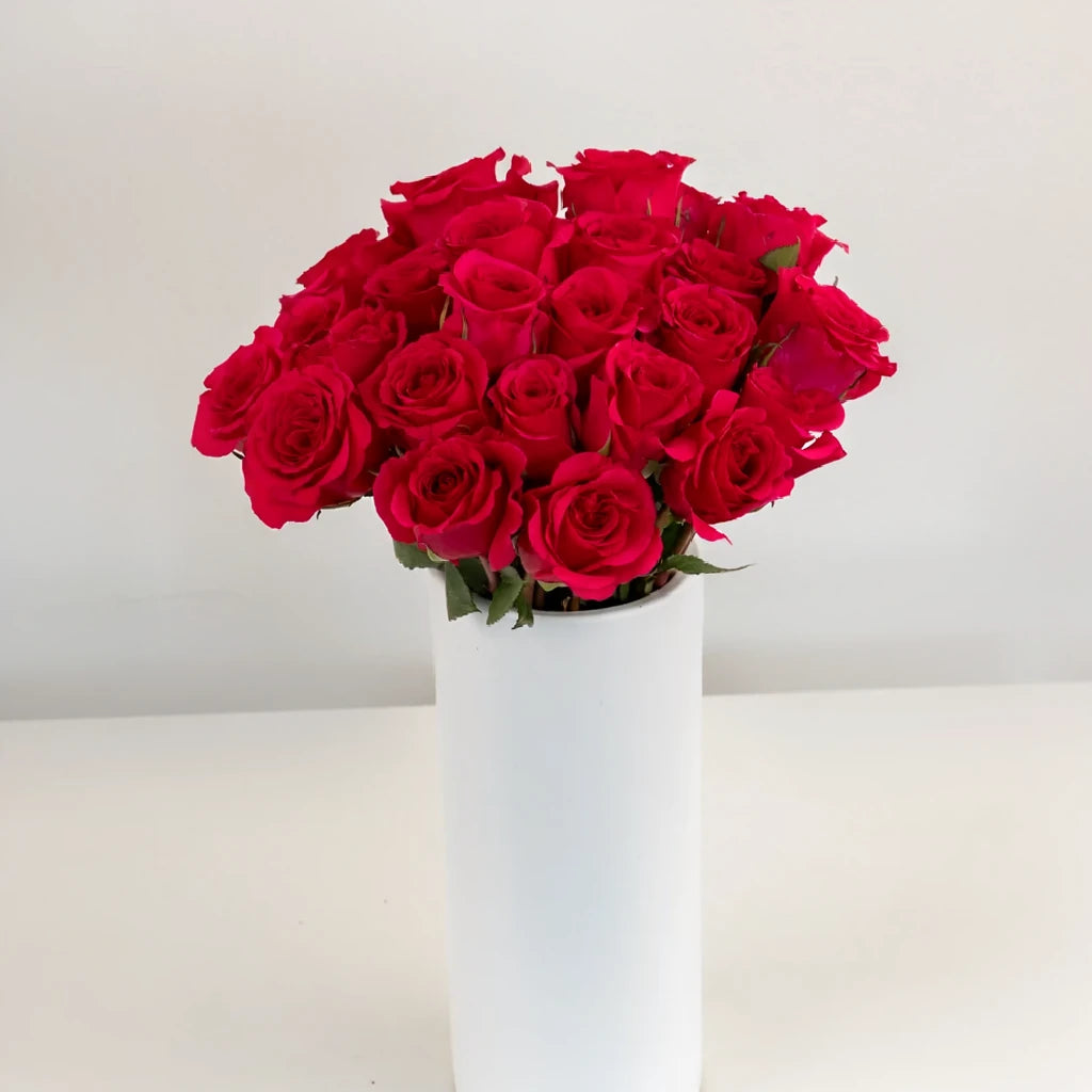 Queenberry Roses Standard - alternative 2