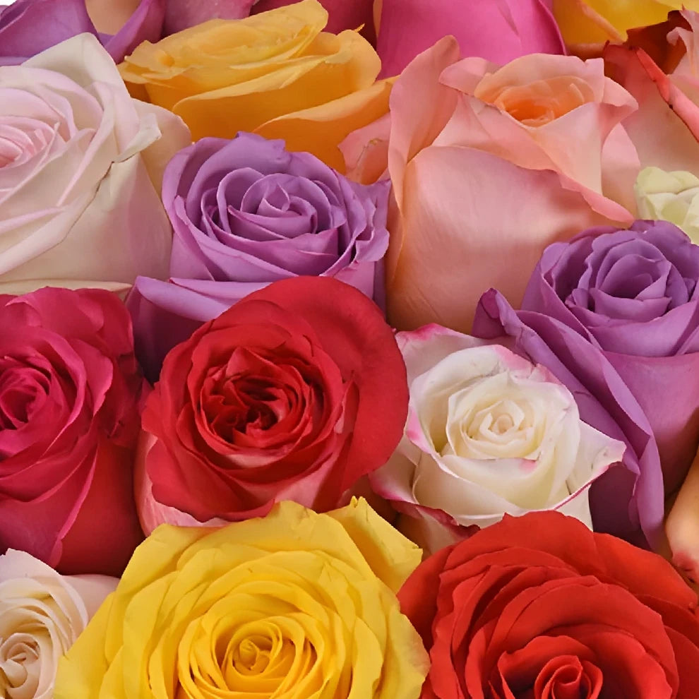 Assorted Roses Standard - alternative 1